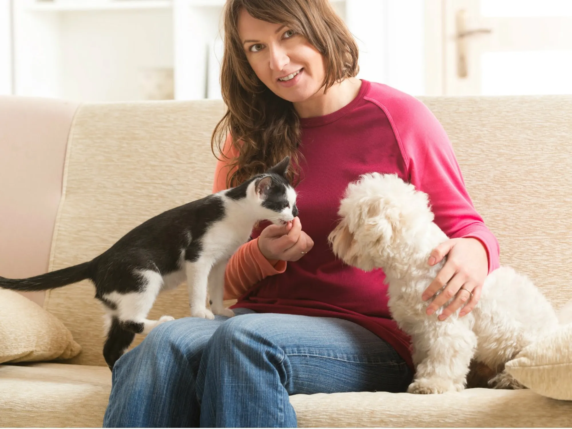 Katze entspannt zu Hause