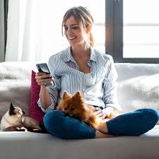 Nahaufnahme eines Hundes